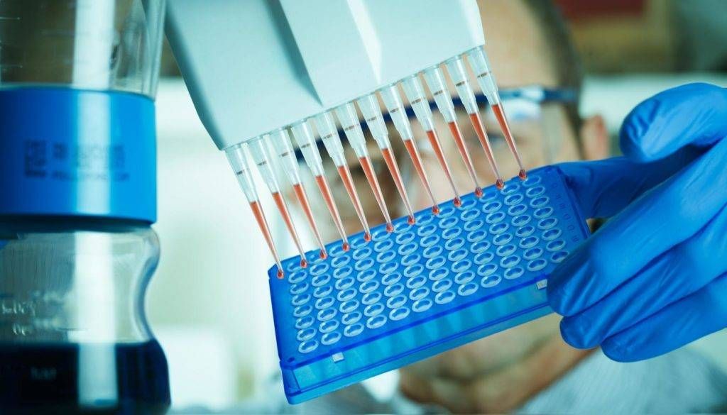 Teste Farmacogenético GnTech