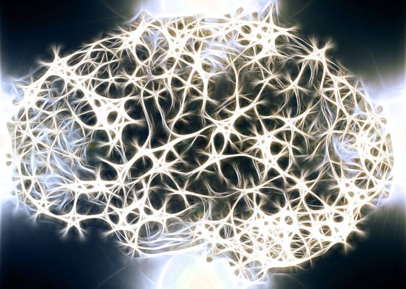 cerebro-ect-holiste